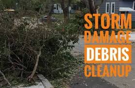 storm debris cleanup